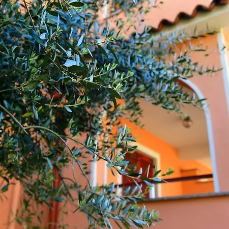 Apartment Zdjelar