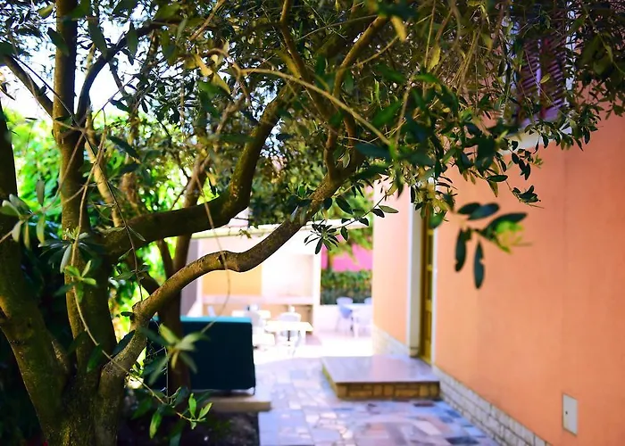 Zdjelar * ポレッチ